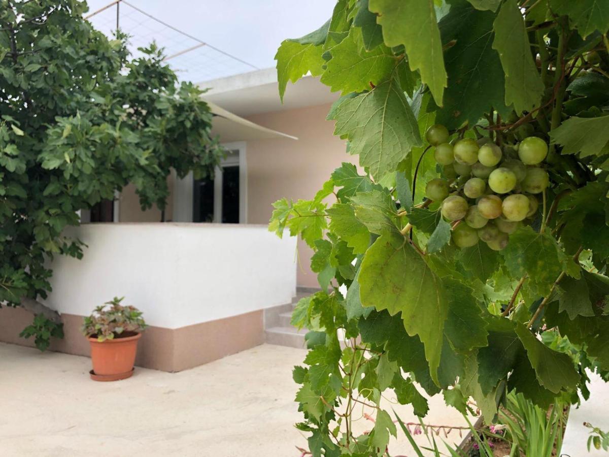 Bdm Apartment Drage Εξωτερικό φωτογραφία